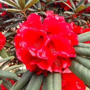 Meet your Posher, Marie-eve